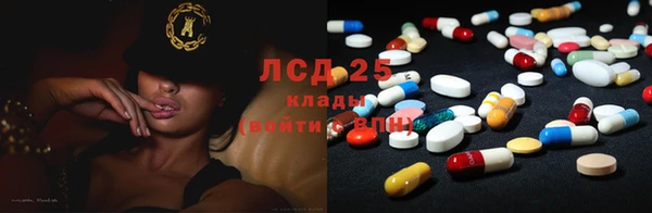 стаф Медвежьегорск