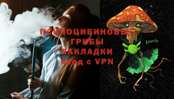 стаф Медвежьегорск
